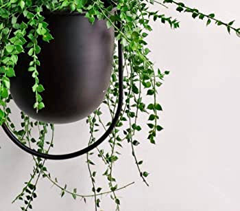 modern black hanging planter Black Metal Bullet Hanging Planter – DSTUDIOhome