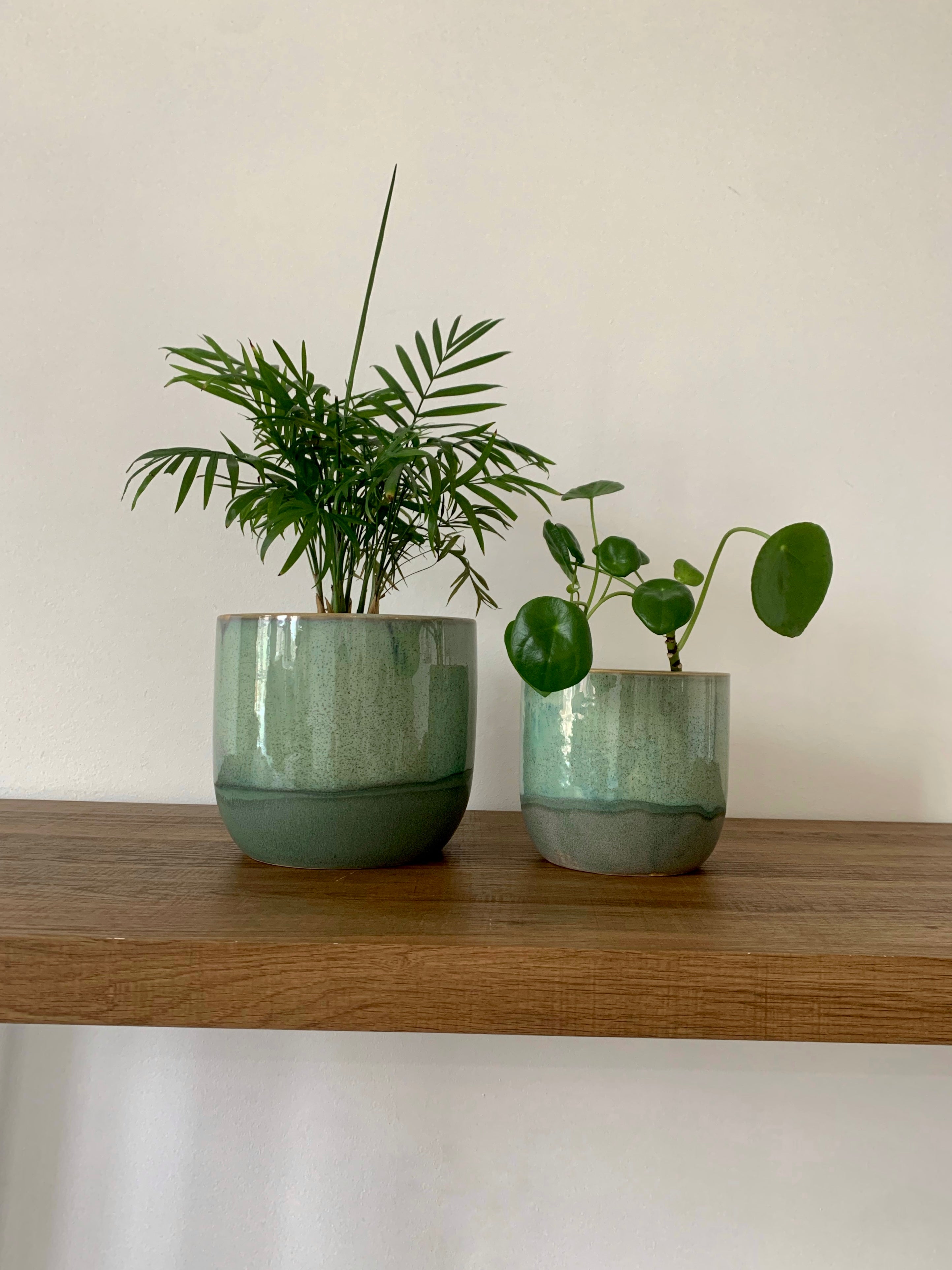 green ceramic plant pot Seaside Green Ceramic Plant Pots – DSTUDIOhome