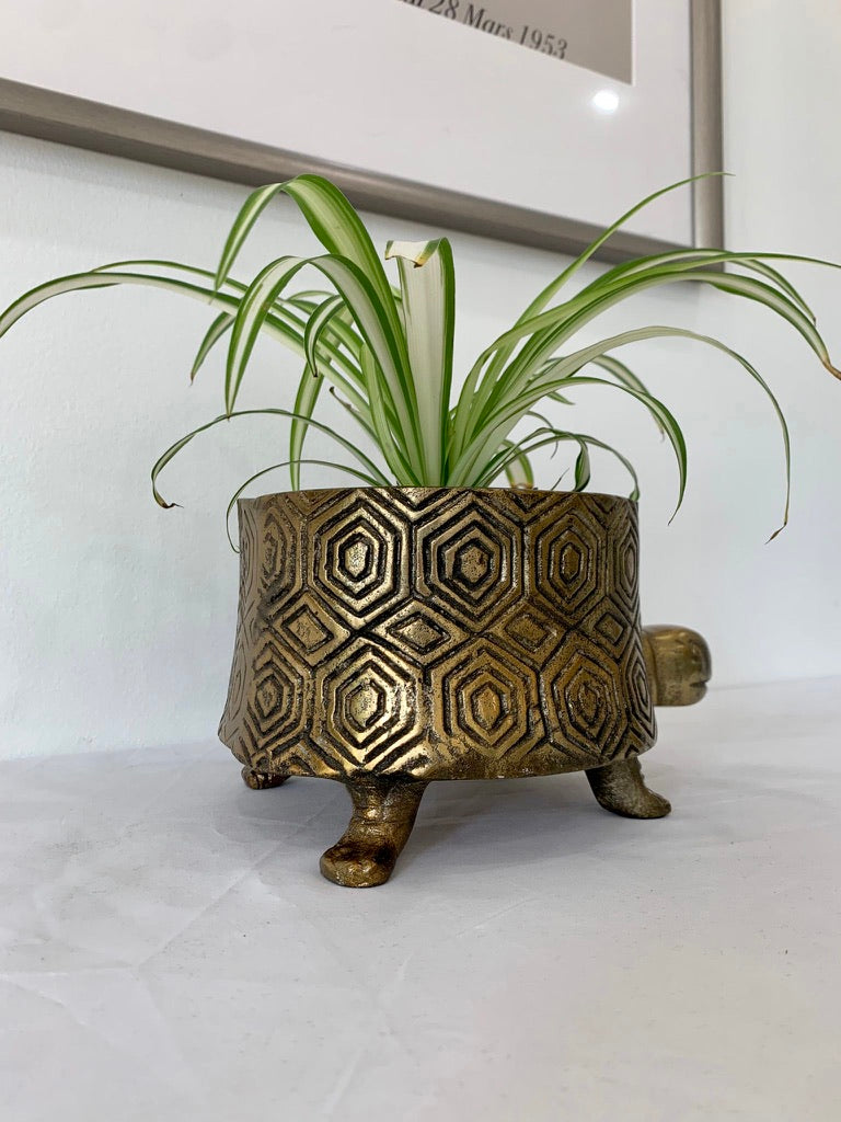 brushed brass plant pot Brass Turtle Footed Planter Pot – DSTUDIOhome