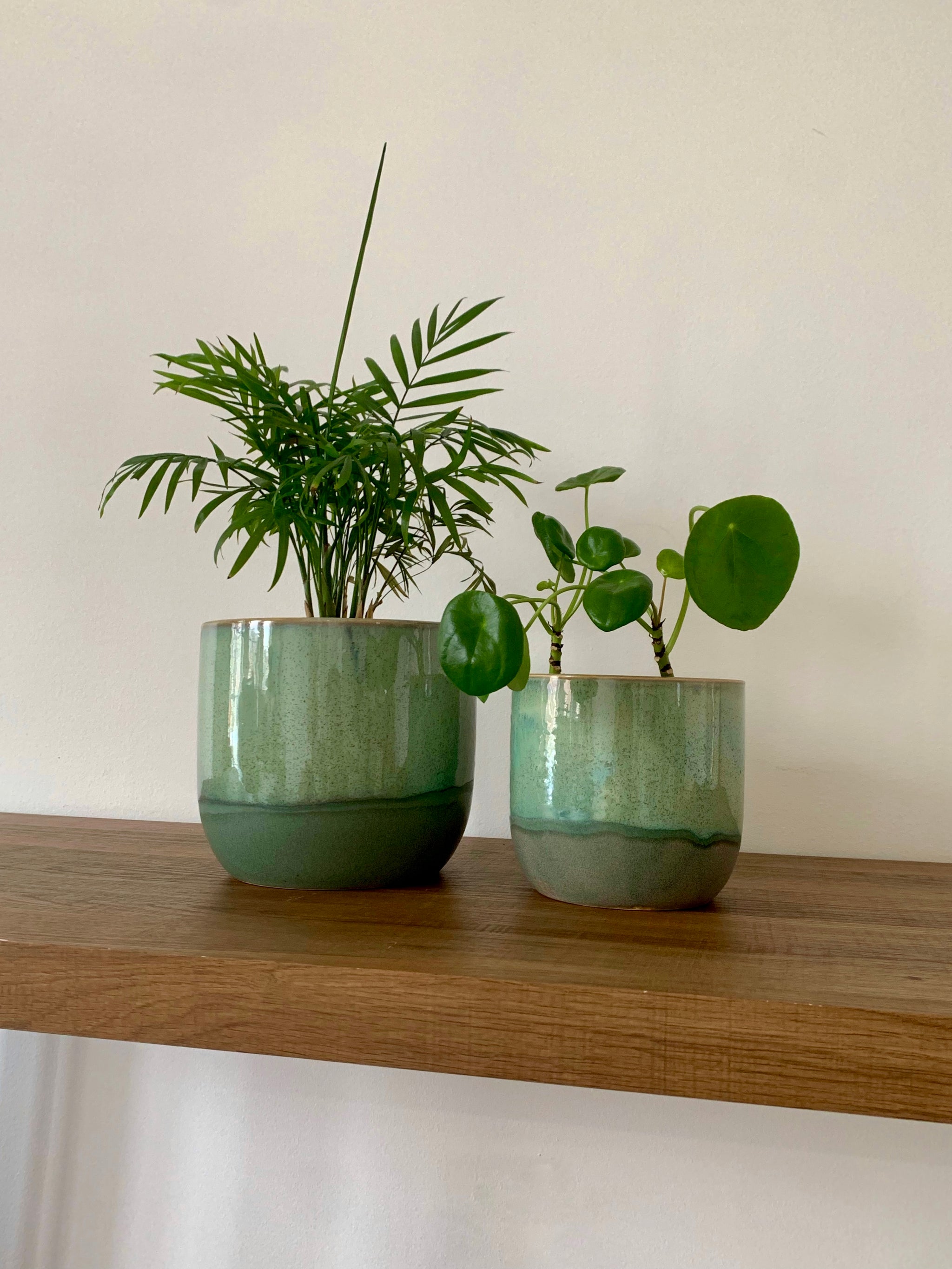 small green plant pots Seaside Green Ceramic Plant Pots – DSTUDIOhome