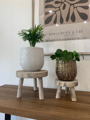 Open image in slideshow, White-Washed Wood Riser / Stand / Stool
