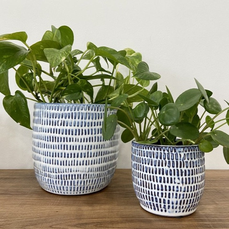navy pot plant Navy Cell Ceramic Plant Pots – DSTUDIOhome