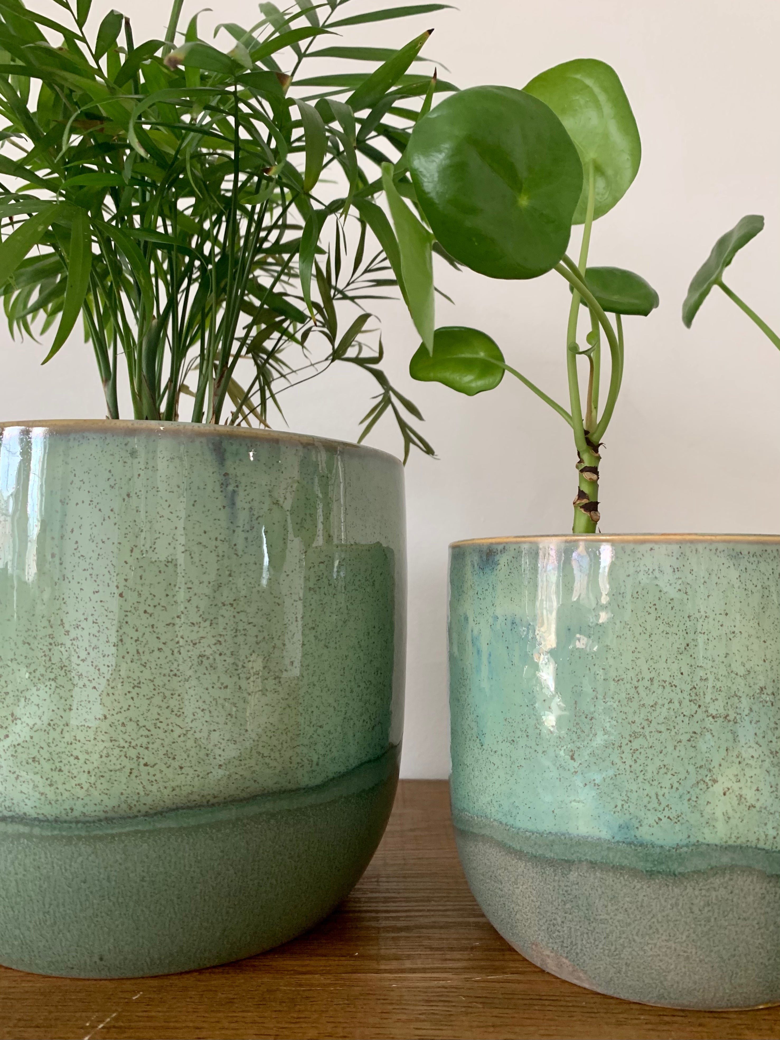 green plant pot Seaside Green Ceramic Plant Pots – DSTUDIOhome