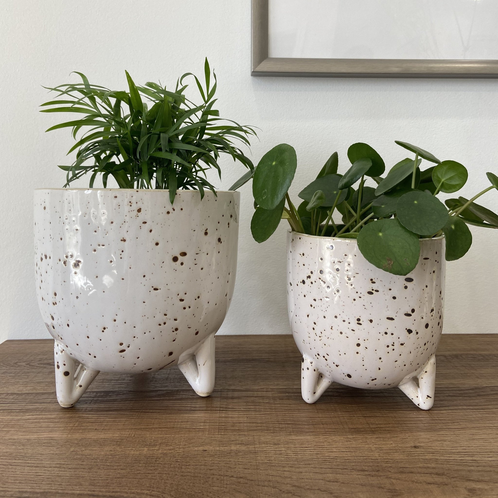 speckled plant pot Freckl Ceramic Footed Pot – DSTUDIOhome