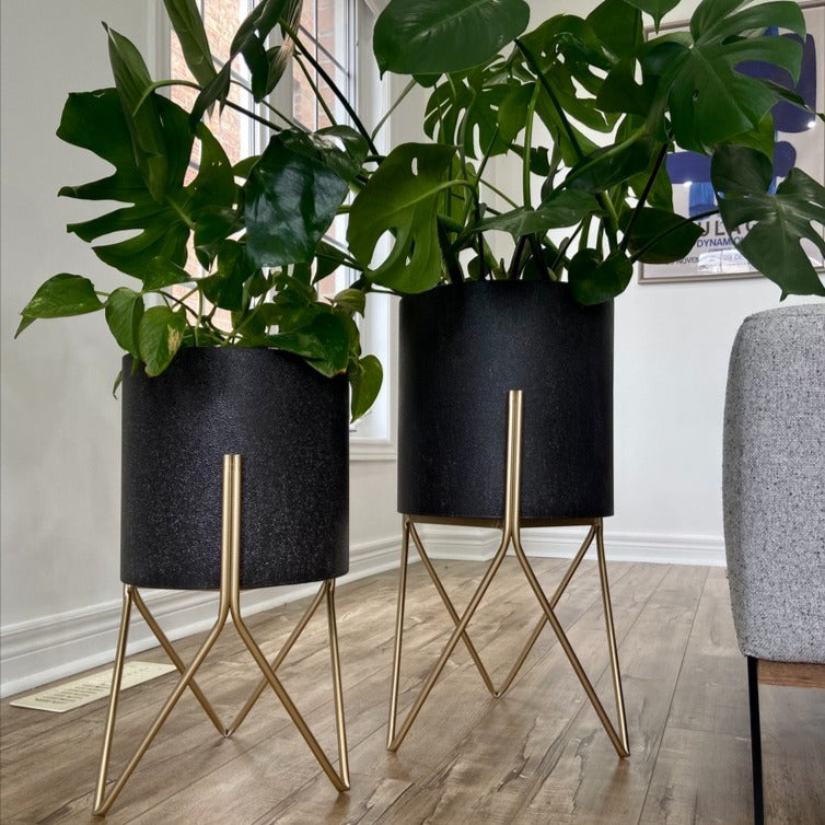 black and gold plant pot Charcoal Metal Planter Pots on Gold Plant Stands – DSTUDIOhome